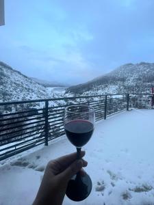 Domini LakeView Apartment