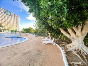 Studio with beautiful view Playa Paraiso PP91