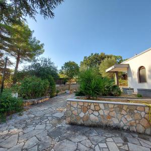 Puglia TU