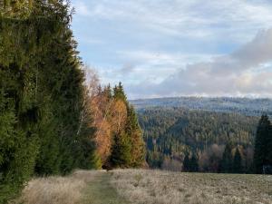 Camping Železná Ruda