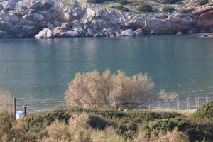 Thalassia Thea Syros Greece