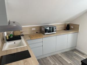 Appartements Studio Aix-les-Bains, 1 piece, 2 personnes - FR-1-617-49 : photos des chambres