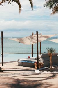 Orchid House Baja