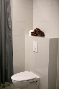New and cozy apartment in Tallinn