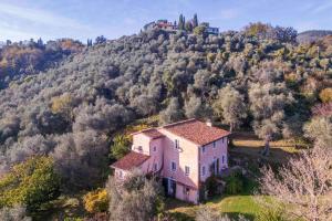 La Casa Dei Limoni, Camaiore, Pet Friendly, Wifi