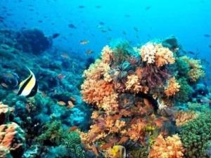 On The Beach 2 - Seaside Sunrise Haven- Sea View