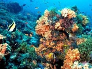 On The Beach - Seaside Sunrise Haven 3 Bedrooms SEA VIEW