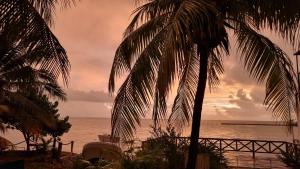 On The Beach - Seaside Sunrise Haven 3 Bedrooms SEA VIEW