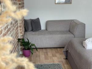 Bricks Studio Apartments