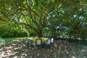 Maisons de vacances Bidart - Uhabia plage - Maison familiale : Maison 4 Chambres