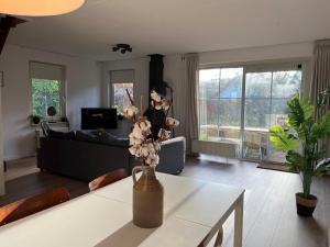 Vakantiewoning Eysinga State