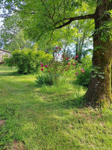 Maisons de vacances La Bougainvilliere : photos des chambres