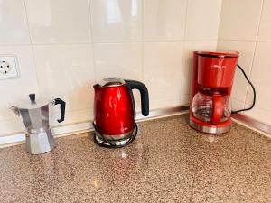 Casa Flora - Vale da Telha - Nature - Surf & Sun