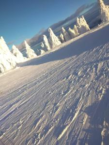Ski hotel DOBRODOLAC