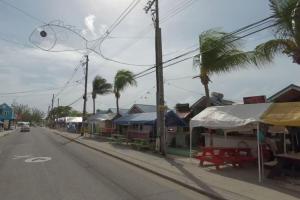 Private 3BR Tropical Paradise near Oistins