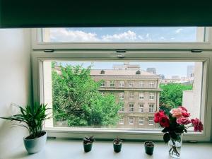 New studio in quiet part of the city center