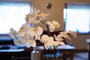 Kevikincses Vendégház