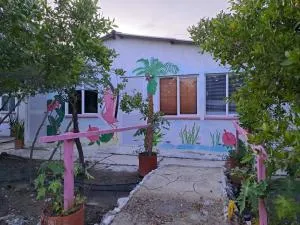 Mar Rosa Galerazamba Hostal - Sábalo