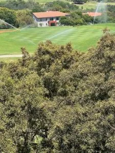 1 Bed Apartment @ Jackal Creek Golf Estate - Honeydew