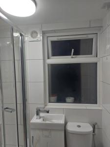 De lick strawberry studio