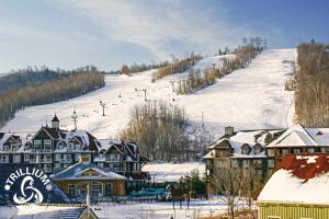 Mountainview Loft at North Creek Resort