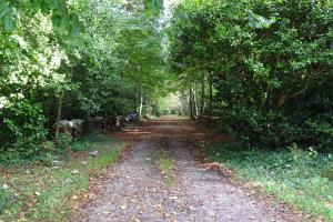 Maisons de vacances Apartment in Benodet near Sandy Beaches : photos des chambres