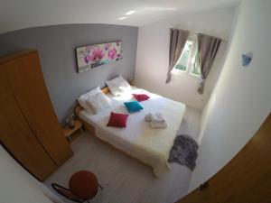 Apartments with parking space Petrcane, Zadar - 17770