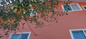 Baan Rhomkham Ayutthaya - บ้านร่มขามอยุธยา