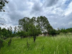 Kazanlak Cottage Shelter Country House with 1 Room and 1 Attic - No electricity, No Water, with Outhouse