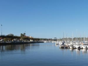 Appartements Charmant T3 de standing a Capbreton, jardin, 3 chambres, terrasse couverte, proche port et plages - FR-1-239-484 : photos des chambres