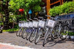 Royal Riverside Hoi An Hotel & Spa