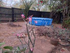 House on Seekoei Road, walking distance from Fence