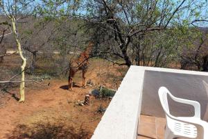 House on Seekoei Road, walking distance from Fence