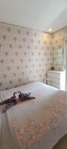 Central Park Mall - Madison Park Apartemen Free Wifi