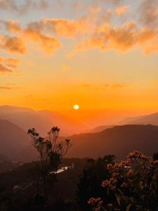 Junyi Landscape Villa