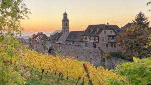 Maisons de vacances Remparts de Riquewihr - La Cigogne Blanche : photos des chambres