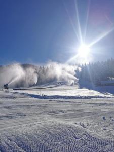 Apartmajsko naselje Ribniško Pohorje
