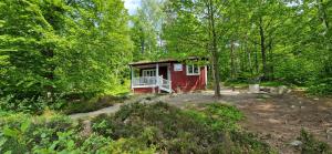 Small Two-Bedroom House (6 Adults) room in Långasjönäs Camping & Stugby