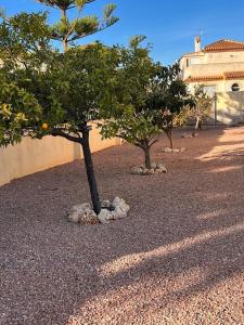 Villa with pool Playa Flamenca