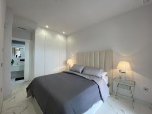 Apartamento San Pedro del Pintar