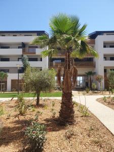Appartements Appartement standing vue etang de Thau : photos des chambres