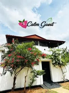 Calm Guest - Kavaddikkuda