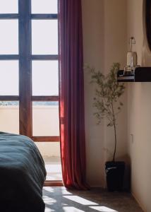 Dreamers: home & coffee