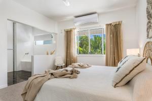 Pet Friendly Oasis By The River, Noosaville