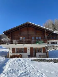 Chalet Bellwald - Blitzingen