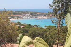 Appartements Appartamento 6 posti letto a 5 minuti dalla spiaggia : photos des chambres