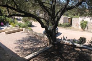 Appartements Appartamento 6 posti letto a 5 minuti dalla spiaggia : photos des chambres