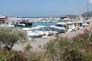 Appartements Appartamento 6 posti letto a 5 minuti dalla spiaggia : photos des chambres