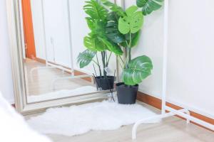 [New]Spellbinding House Hongik St. Exit2 10min