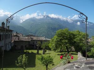 La Rosa al Roseto del Drago